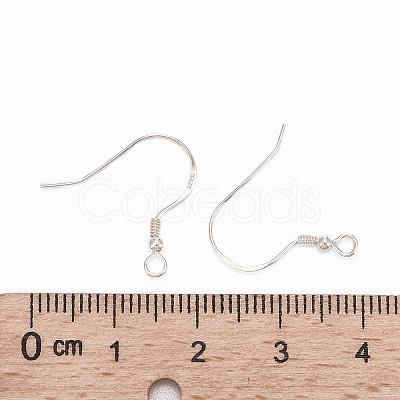 925 Sterling Silver Earring Hooks STER-K167-053A-S-1