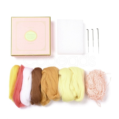 Imitation Food Gift Box Needle Felting Kit DIY-D065-01P-1