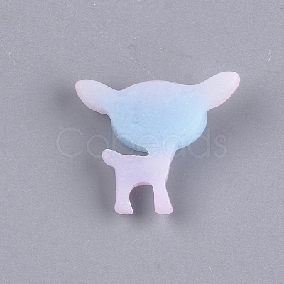 Resin Cabochons CRES-T010-66-1