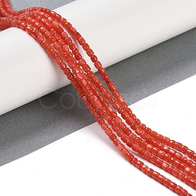 Natural Freshwater Shell Beads Strands BSHE-H109-04-1