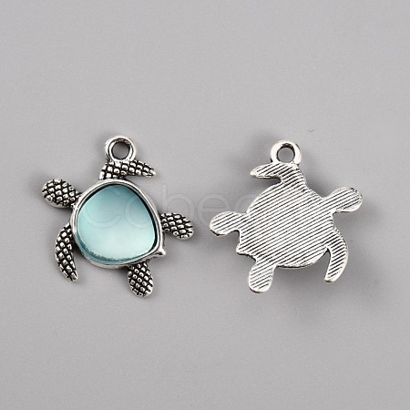 Tibetan Style Alloy Pendants FIND-WH0050-01B-1