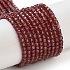 Natural Garnet Beads Strands G-B088-E11-02-1