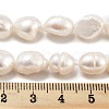 Natural Cultured Freshwater Pearl Beads Strands PEAR-P062-30B-5