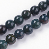 Natural Bloodstone Beads Strands G-N0120-25-8mm-1