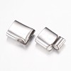304 Stainless Steel Magnetic Clasps with Glue-in Ends STAS-P100-09P-2