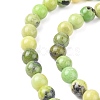 Natural Serpentine Beads Strands G-N166-6-2