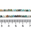 Natural Chrysocolla Beads Strands G-N342-29A-5