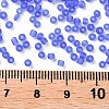 Glass Seed Beads SEED-A008-2mm-M6-3