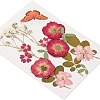 Pressed Dried Flowers DIY-YWC0001-98-4