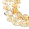 Natural Yellow Quartz Beads Strands G-G117-D08-01-4