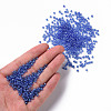 Glass Seed Beads SEED-A006-3mm-106-4