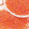8/0 Round Glass Seed Beads X-SEED-J011-F8-169-1