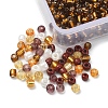 42G 6 Color 8/0 Transparent Glass Seed Beads SEED-FS0001-12-4