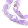 Natural Amethyst(Dyed & Heated) Beads Strands G-P497-01C-44-4