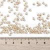 MIYUKI Round Rocailles Beads SEED-G008-RR2439-4