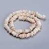 Natural Freshwater Shell Beads Strands X-SHEL-D078-01B-2