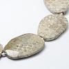 Natural Fossil Coral Beads Strands G-K180-F03-4