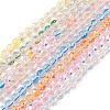 Handmade Lampwork Beads Strands LAMP-F029-01-1