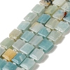 Natural Flower Amazonite Beads Strands G-L596-A14-01-1