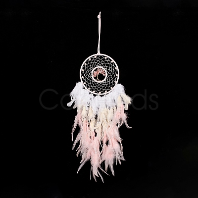 Iron Woven Web/Net with Feather Pendant Decorations AJEW-B017-08-1