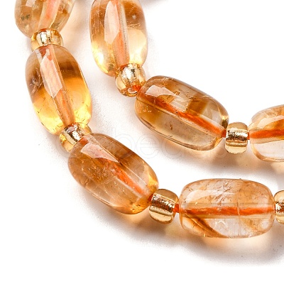 Natural Citrine Beads Strands G-L610-C02-02-1