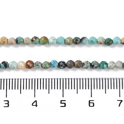 Natural Chrysocolla Beads Strands G-N342-29A-1