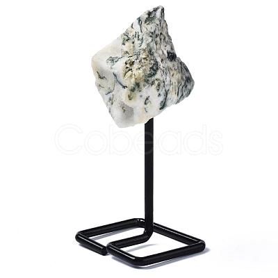 Natural Tree Agate Display Decorations G-N0236-040A-16-1