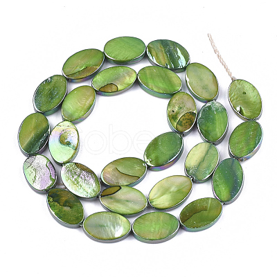 Freshwater Shell Beads Strands X-SSHEL-T007-19C-1