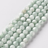 Glass Beads Strands GLAA-SZ0001-61A-1