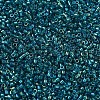 MIYUKI Delica Beads SEED-J020-DB1764-3