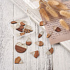 Kissitty 20Pcs 10 Style Resin & Walnut Wood Pendants RESI-KS0001-05-4