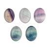 Natural Fluorite Cabochons G-I065-18x13mm-1