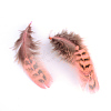 Chicken Feather Costume Accessories X-FIND-Q460-05-2
