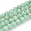 Natural Myanmar Jade/Burmese Jade Beads Strands X-G-T064-22-6mm-1