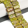 Natural Imperial Jasper Beads Strands G-L604-F01-01E-2