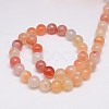 Natural Agate Beads Strands G-G583-10mm-15-2