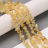 Natural Citrine Chip Beads Strands X-G-D093-A03-2