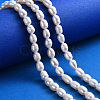Natural Cultured Freshwater Pearl Beads Strands PEAR-S012-41C-5