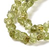 Natural Peridot Beads Strands G-P332-48-01-3