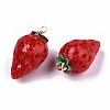 Resin Pendants RESI-S379-001B-2