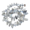 Natural Grey Moonstone Beads Strands G-G106-J01-01-2