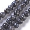 Natural Labradorite Beads Strands G-P428-9B-8mm-2