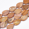 Freshwater Shell Beads Strands SHEL-T014-010C-1