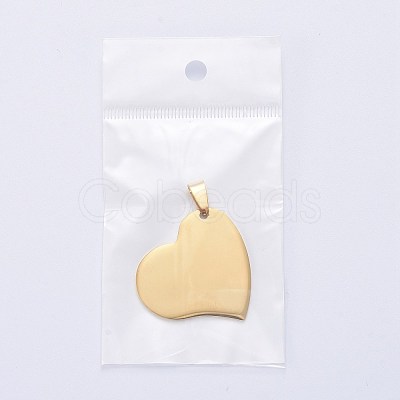 304 Stainless Steel Pendants STAS-I140-11G-1