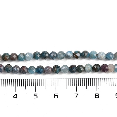 Natural Apatite Beads Strands G-F782-B05-03-1