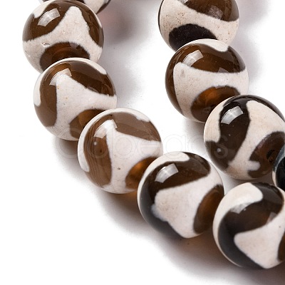 Tibetan Style dZi Beads G-U006-06E-01-1