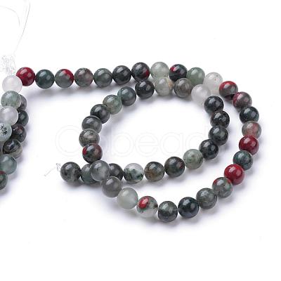 Natural African Bloodstone Beads Strands G-R345-10mm-50-1