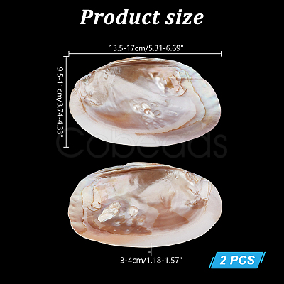 Nbeads 2Pcs Natural Freshwater Pearl Shell Decoration SHEL-NB0001-64-1