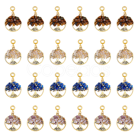 DICOSMETIC 32Pcs 4 Styles Natural Mixed Stone European Dangle Charms G-DC0001-14-1