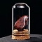 Raw Natural Mahogany Obsidian Nuggets Ornaments, Glass & Wood Bell Jars Mineral Specimens Statues for Home Desktop Feng Shui Decoration, 55x35mm